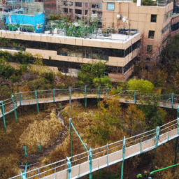 雙重優勢：如何有效地整合定量與定性的混合研究法
